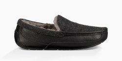 Men's UGG Ascot Novelty BLACK