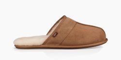 Men's UGG Leisure Slide CHESTNUT