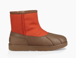 Men's UGG 3.1 Phillip Lim Classic Mini Duck ORANGE