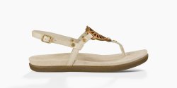 Women's UGG Ayden SEAGULL