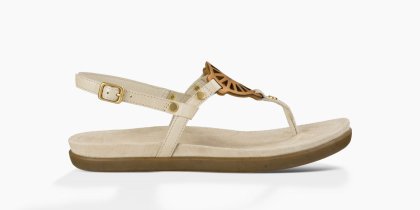 Women\'s UGG Ayden SEAGULL