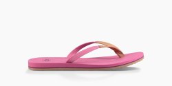 Women's UGG Magnolia PINK AZALEA
