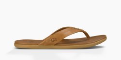 Men's UGG Delray CHESTNUT