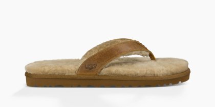 Men\'s UGG Classic Sandal CHESTNUT