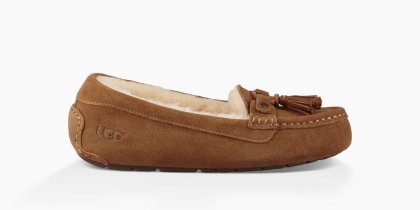 Women\'s UGG Litney CHESTNUT