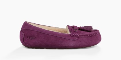 Women\'s UGG Litney PURPLE PASSION