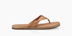 Women's UGG AnComfortable CAFE