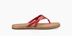 Women's UGG AnComfortable TANGO