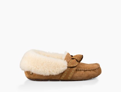 Women\'s UGG Poler CHESTNUT