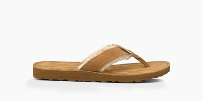 Women\'s UGG Tasmina CHESTNUT
