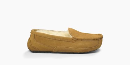 Youth UGG Ascot CHESTNUT