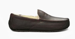 Men's UGG Ascot China Tea
