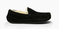 Men's UGG Ascot BLACK