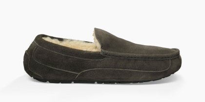 Men\'s UGG Ascot CHARCOAL