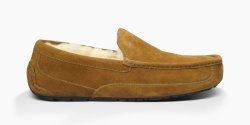 Men's UGG Ascot CHESTNUT