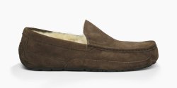 Men's UGG Ascot ESPRESSO