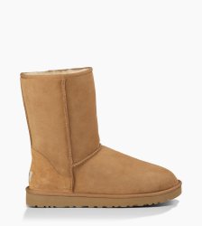 Men's UGG Classic Short CHESTNUT