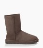 Men's UGG Classic Short CHOCOLATE