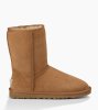 Women's UGG Classic Short CHESTNUT