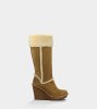 UGG Aubrie Boots CHESTNUT