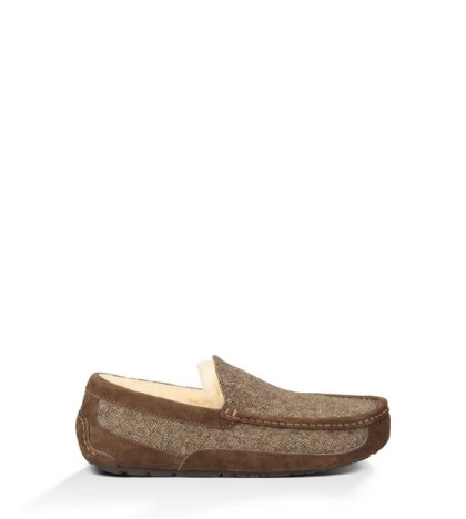UGG® ASCOT TWEED SLIPPERS STOUT