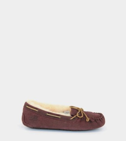 UGG® New winter Slippers ESPRESSO