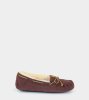 UGG® New winter Slippers ESPRESSO