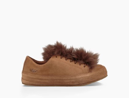 Women\'s UGG Blake Fur CHESTNUT