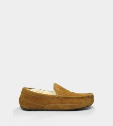 UGG Ascot Slippers Suede CHESTNUT