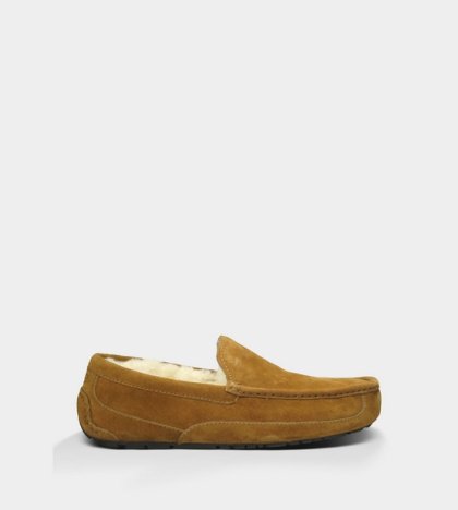 UGG Ascot Slippers Suede CHESTNUT