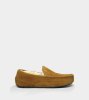 UGG Ascot Slippers Suede CHESTNUT