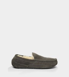 UGG Ascot Slippers Suede CHARCOAL