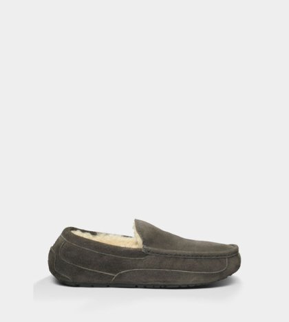 UGG Ascot Slippers Suede CHARCOAL