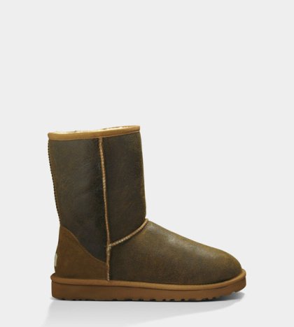 UGG Classic Short Bomber Boots Bomber Jacket Chestnut