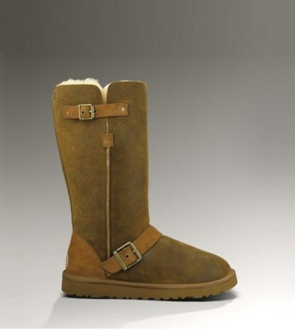 UGG Classic Tall Dylyn Boots Jacket Chestnut