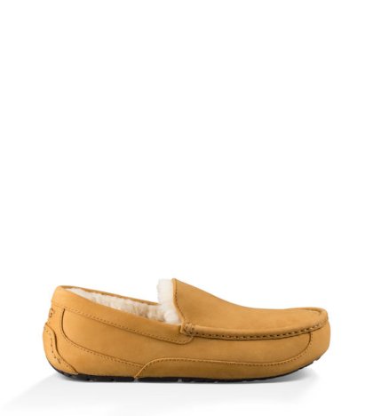 UGG Ascot Wheat Moccasins