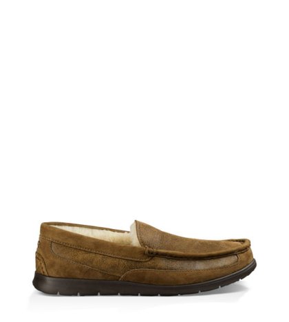 UGG Fascot Bomber BOMBER JACKET CHESTNUT